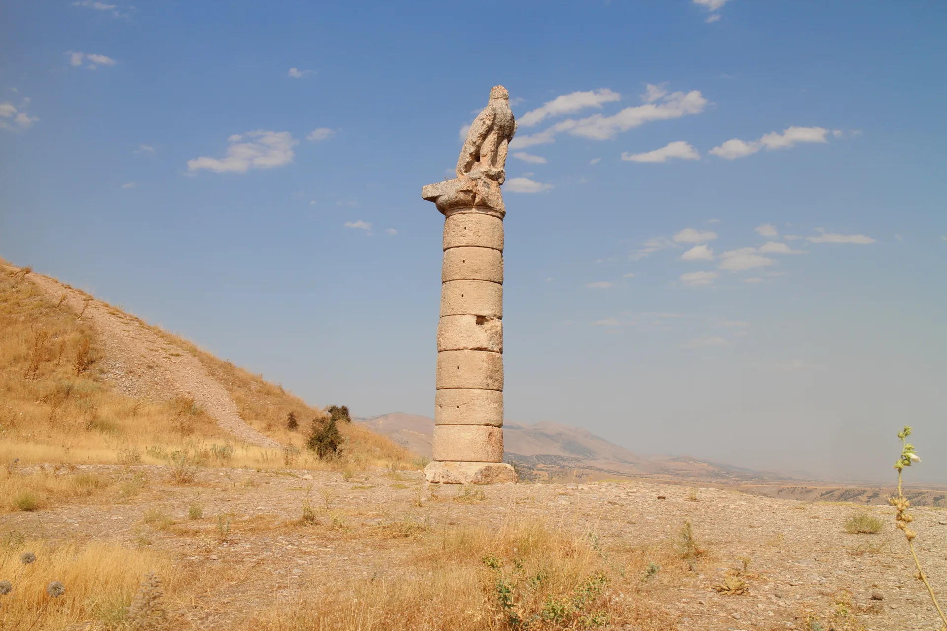 karakus